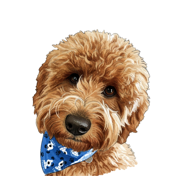 Doodle portrait in Marker style &mdash; custom pet portrait
