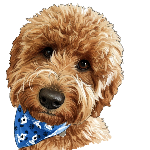 Same pet in Marker style — four styles from one photo