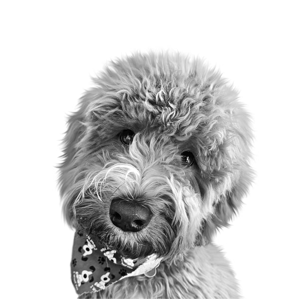 Custom doodle portrait