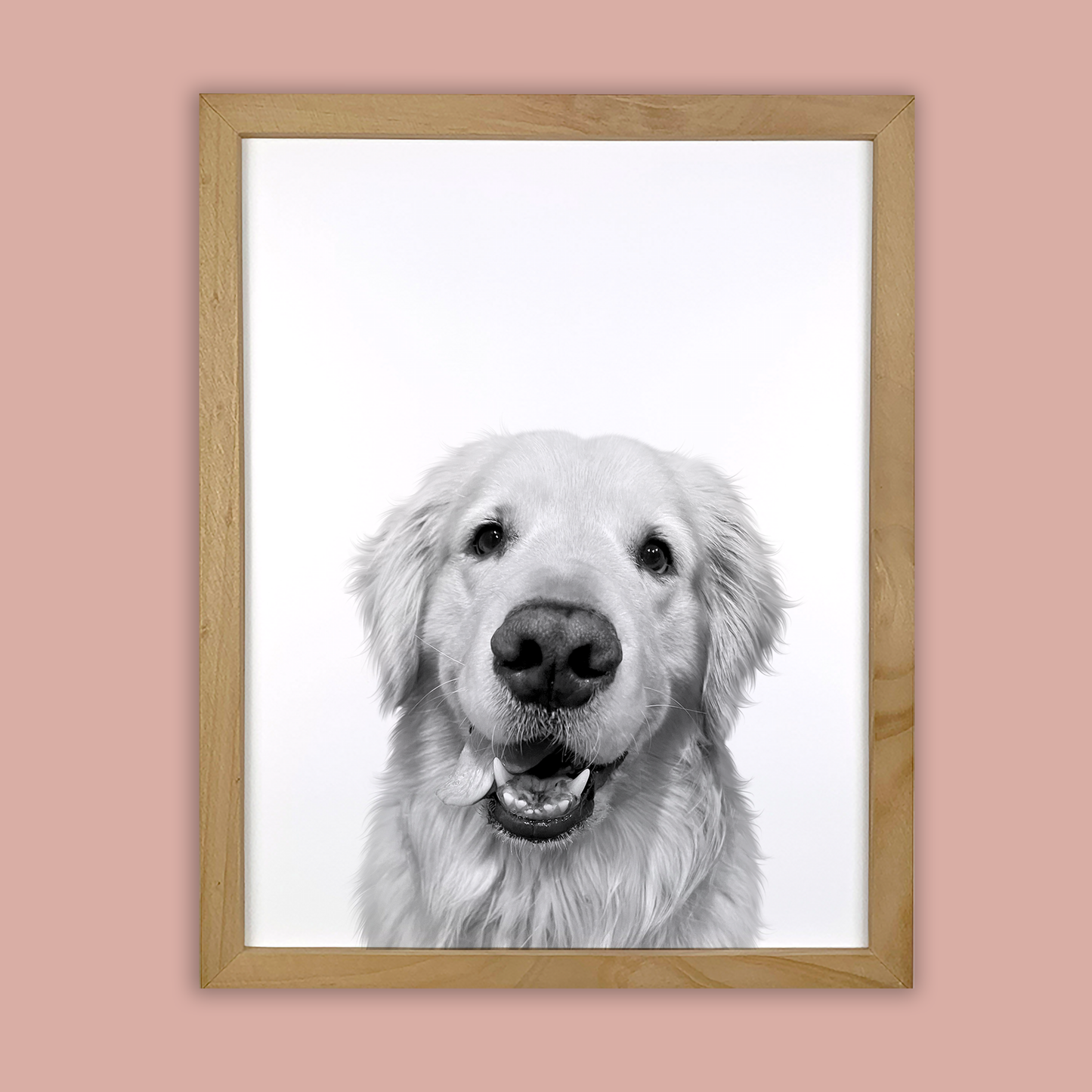 @Easton_the_golden - Natural Wood Framed Print