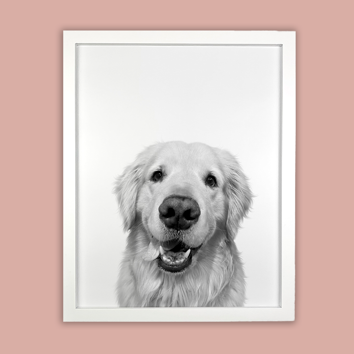 @Easton_the_golden - White Framed Print