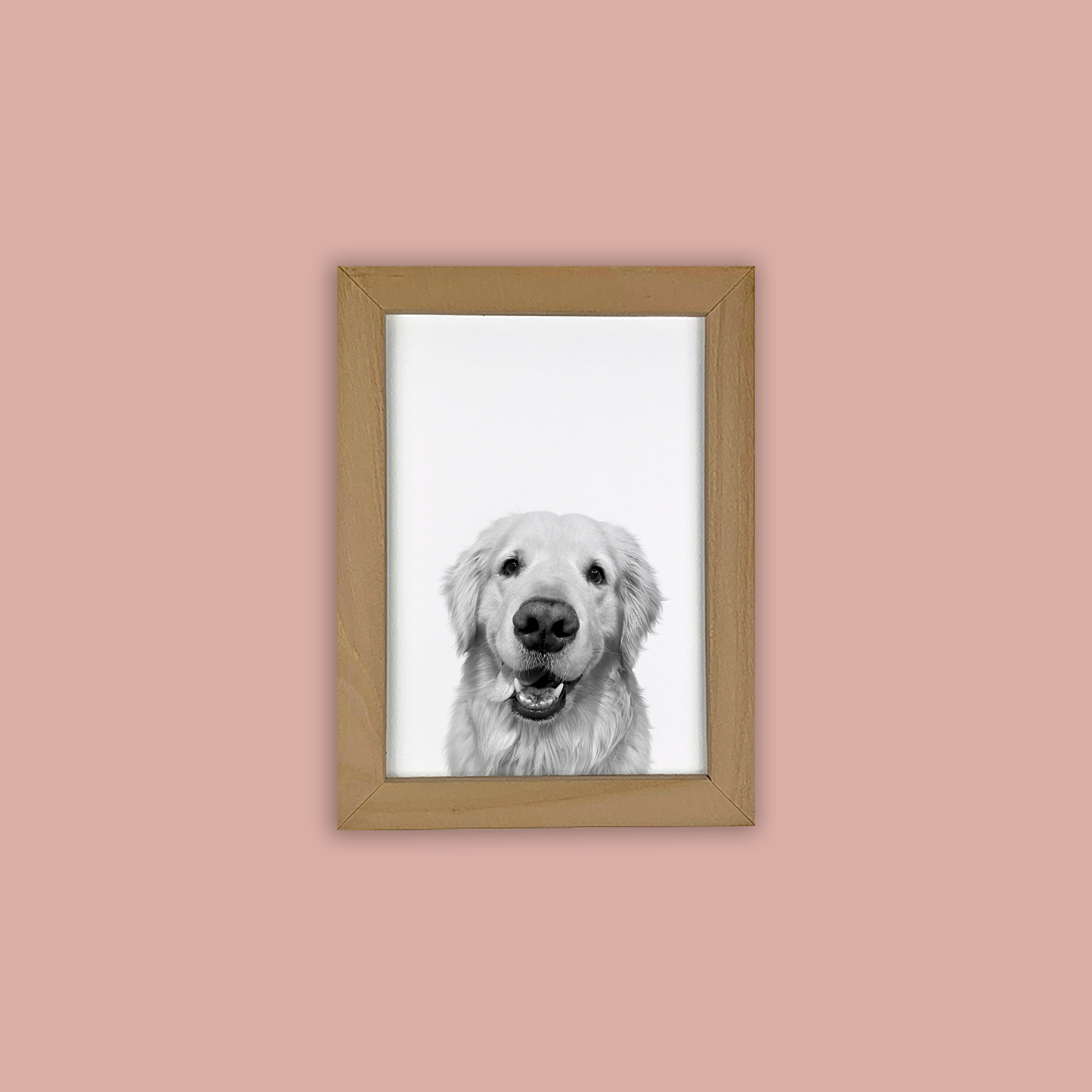 @Easton_the_golden - Natural Wood Framed Print