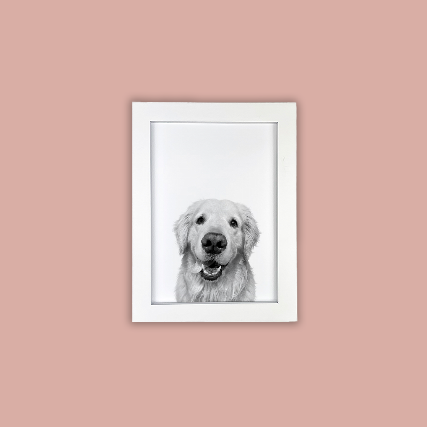 @Easton_the_golden - White Framed Print