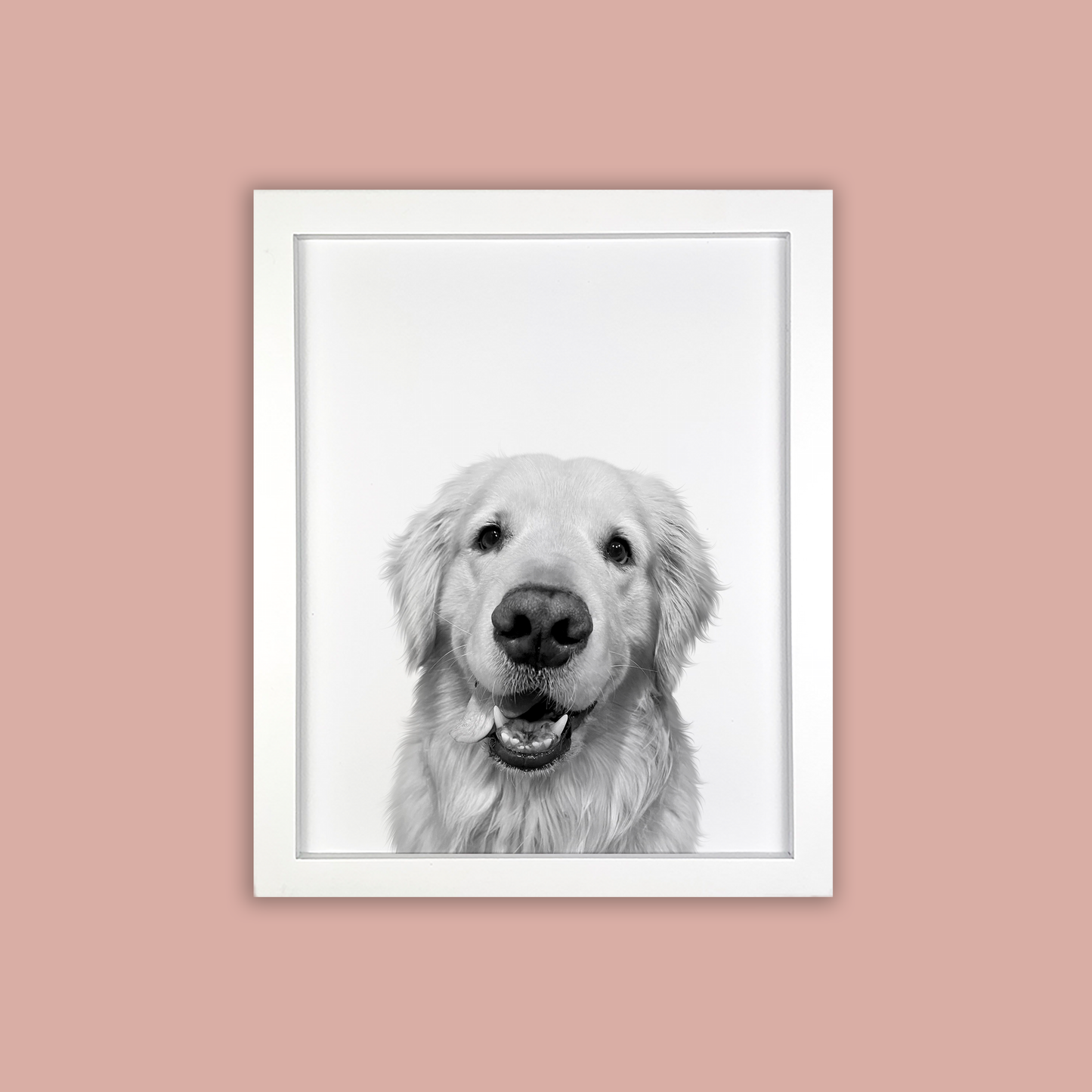 @Easton_the_golden - White Framed Print