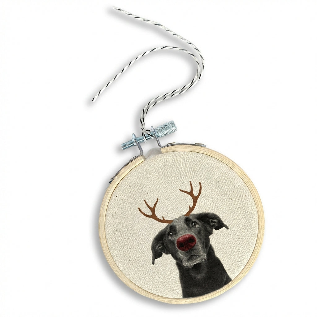 Pet Ornament