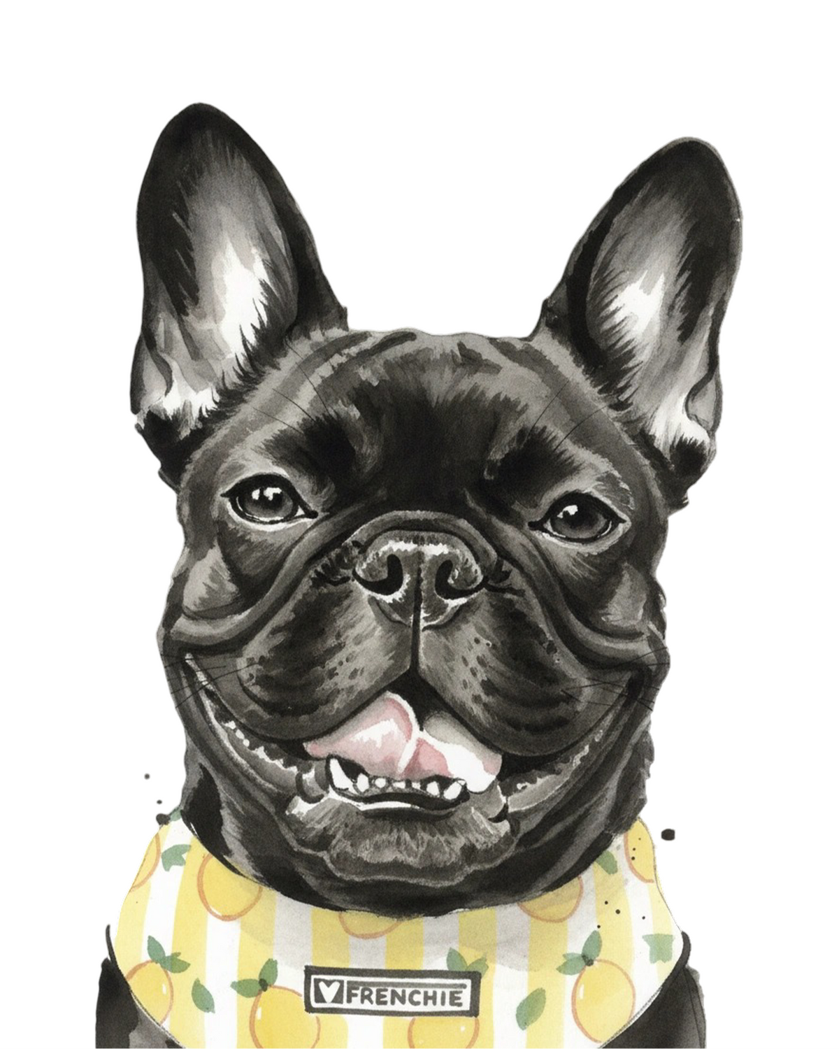 French Bulldog portrait in Ink Wash