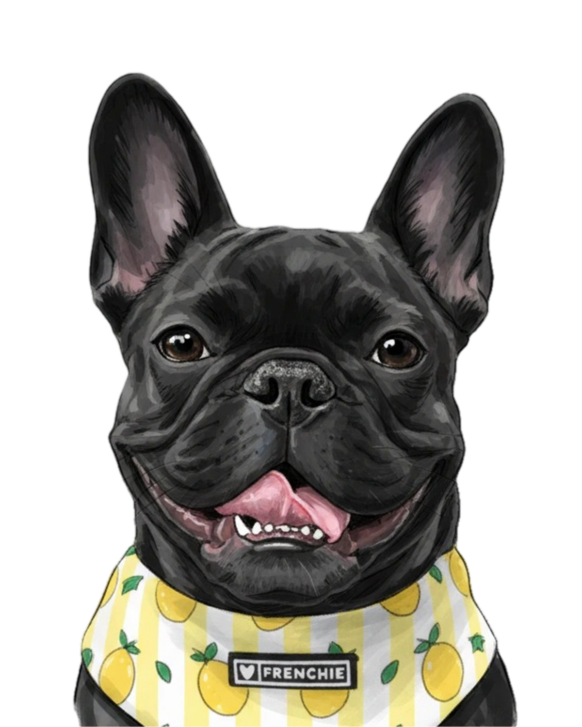 French Bulldog portrait in Marker