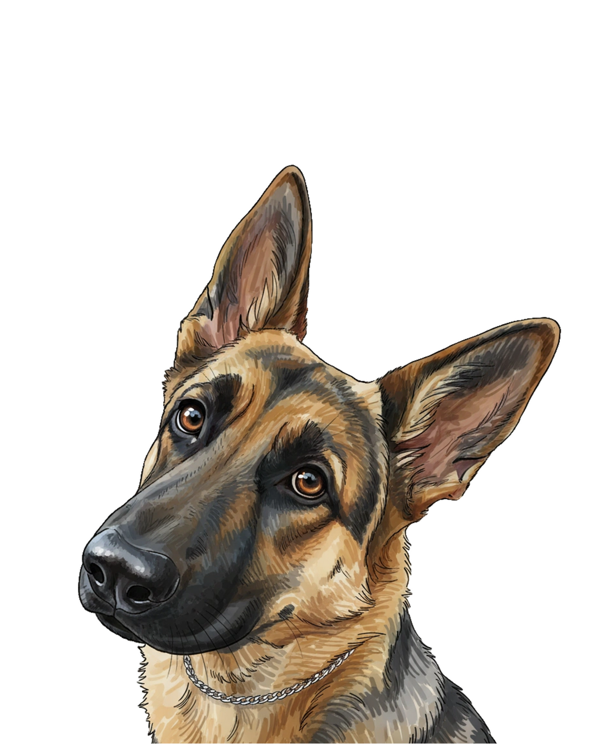 German Shepherd portrait in Marker
