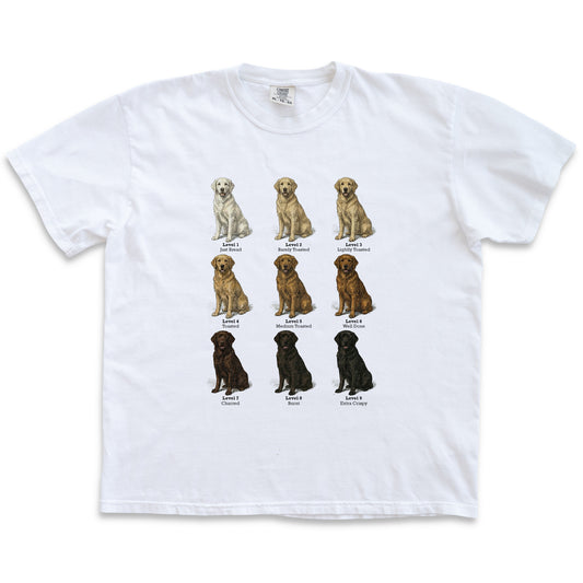 Crew T-Shirt - Golden Toast