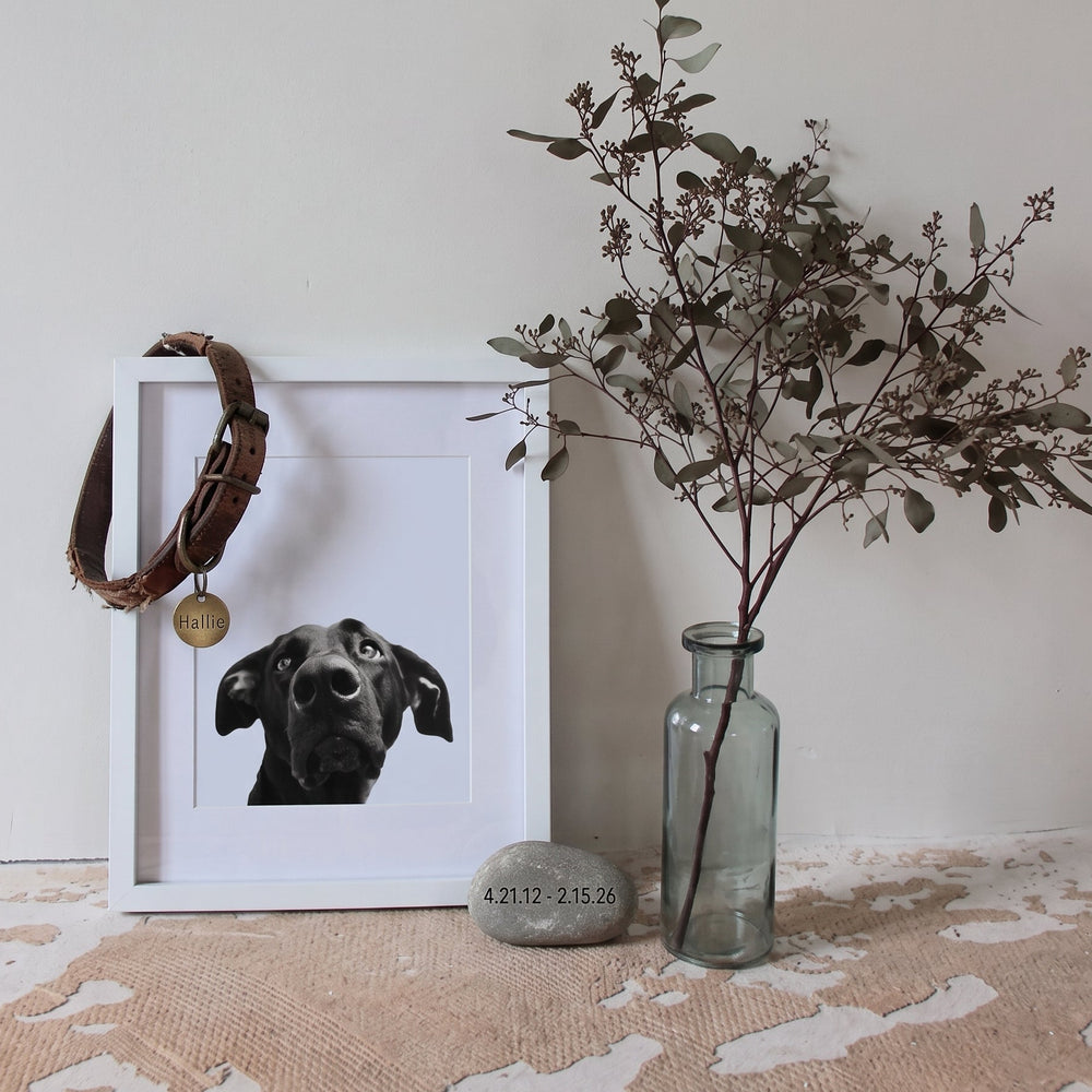 A framed Perkie Print standing on a shelf in a quiet room