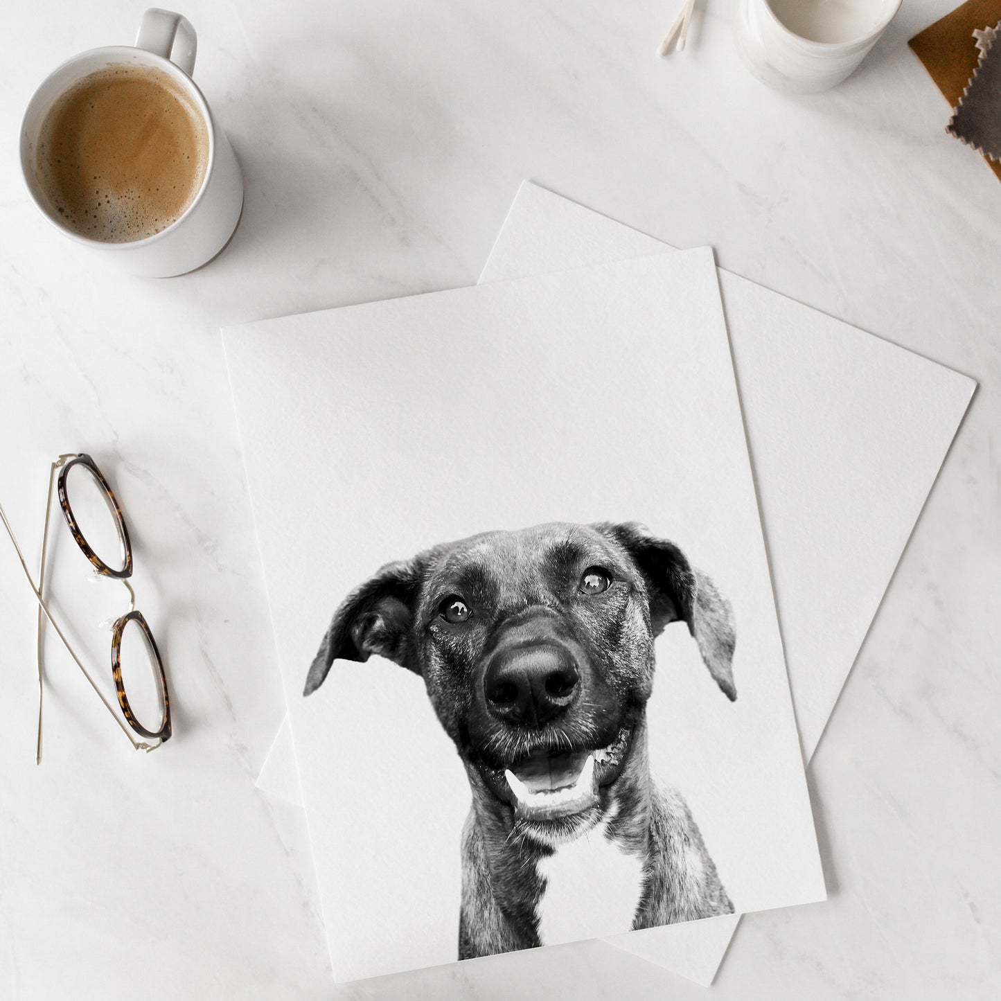 Pet Portrait - Unframed
