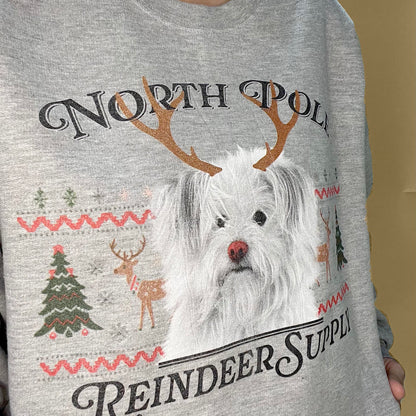 Not-So-Ugly Perkie Prints Holiday Sweater