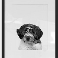 Personalized Pet Portrait in Black Frame
