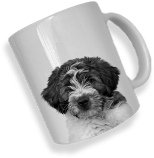 Personalized Pet Coffee Mug- Set of 2