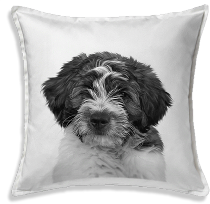 Personalized Pet Throw Pillow Cover