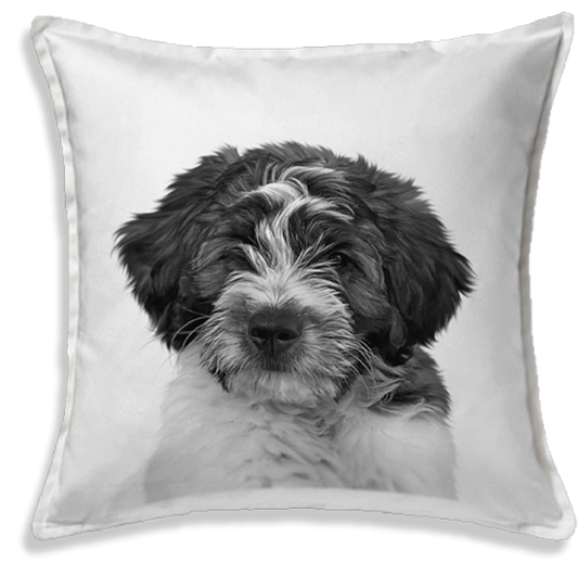 Personalized Pet Throw Pillow Cover