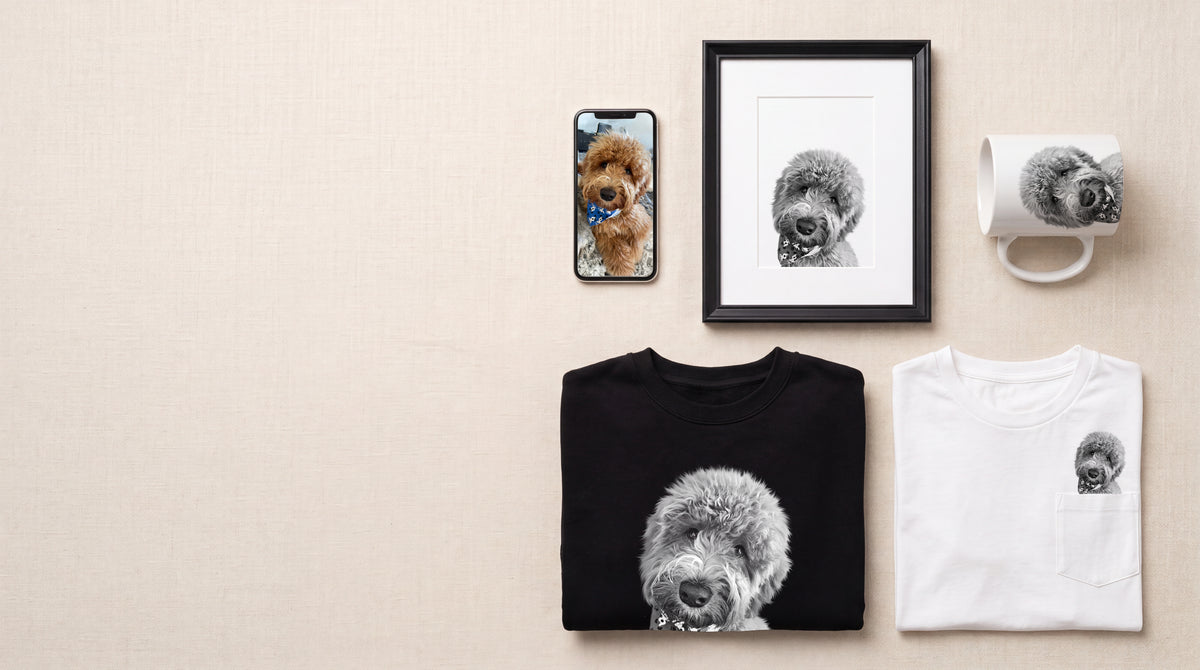 A pet portrait in the Black & White style