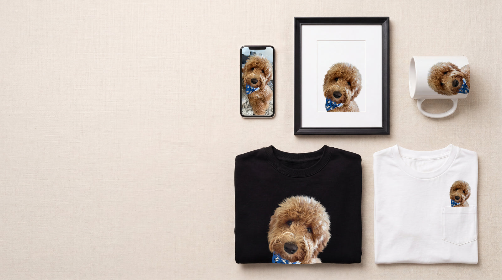 A pet portrait in the Color style