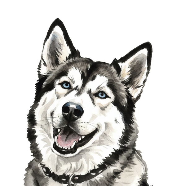 Husky portrait in Ink Wash style &mdash; custom pet portrait