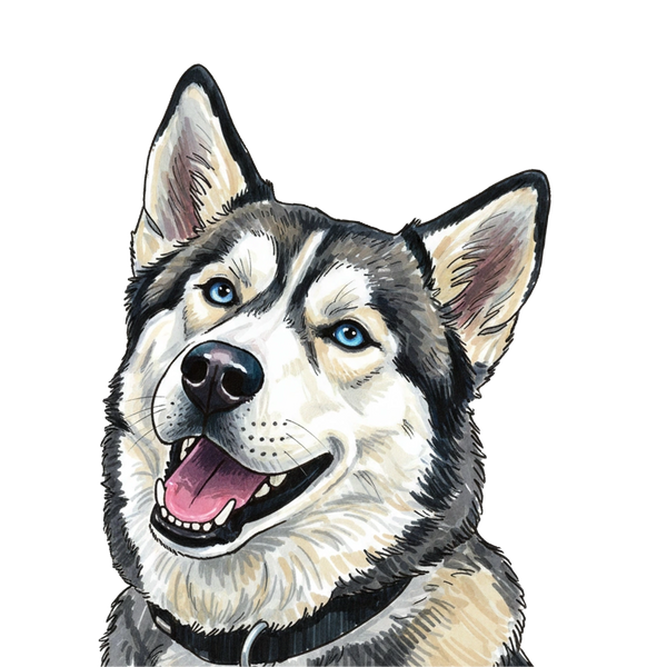 Husky portrait in Marker style &mdash; custom pet portrait