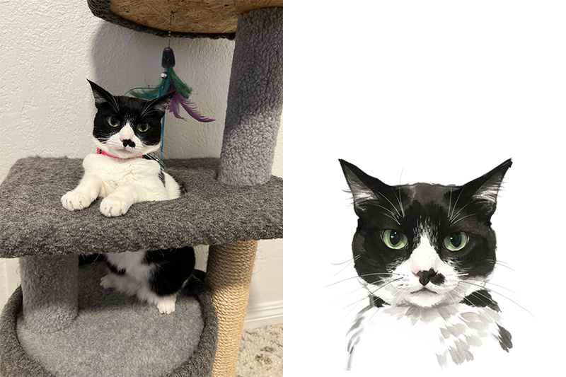 Ink wash custom pet portrait example with flowing sumi-e inspired brushwork
