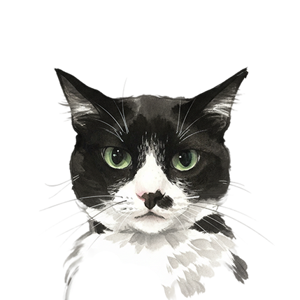 Ink wash pet memorial portrait style