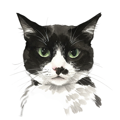 Charley — finished art