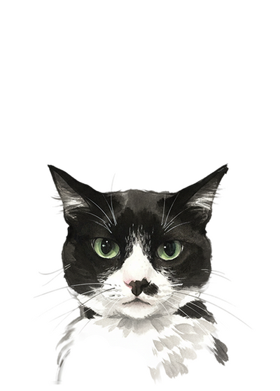 Ink wash pet portrait style example