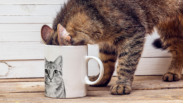 Ink wash pet portrait as wall art in minimalist home
