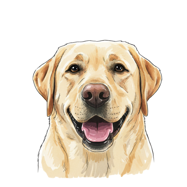 Labrador Retriever portrait in Marker style &mdash; custom pet portrait