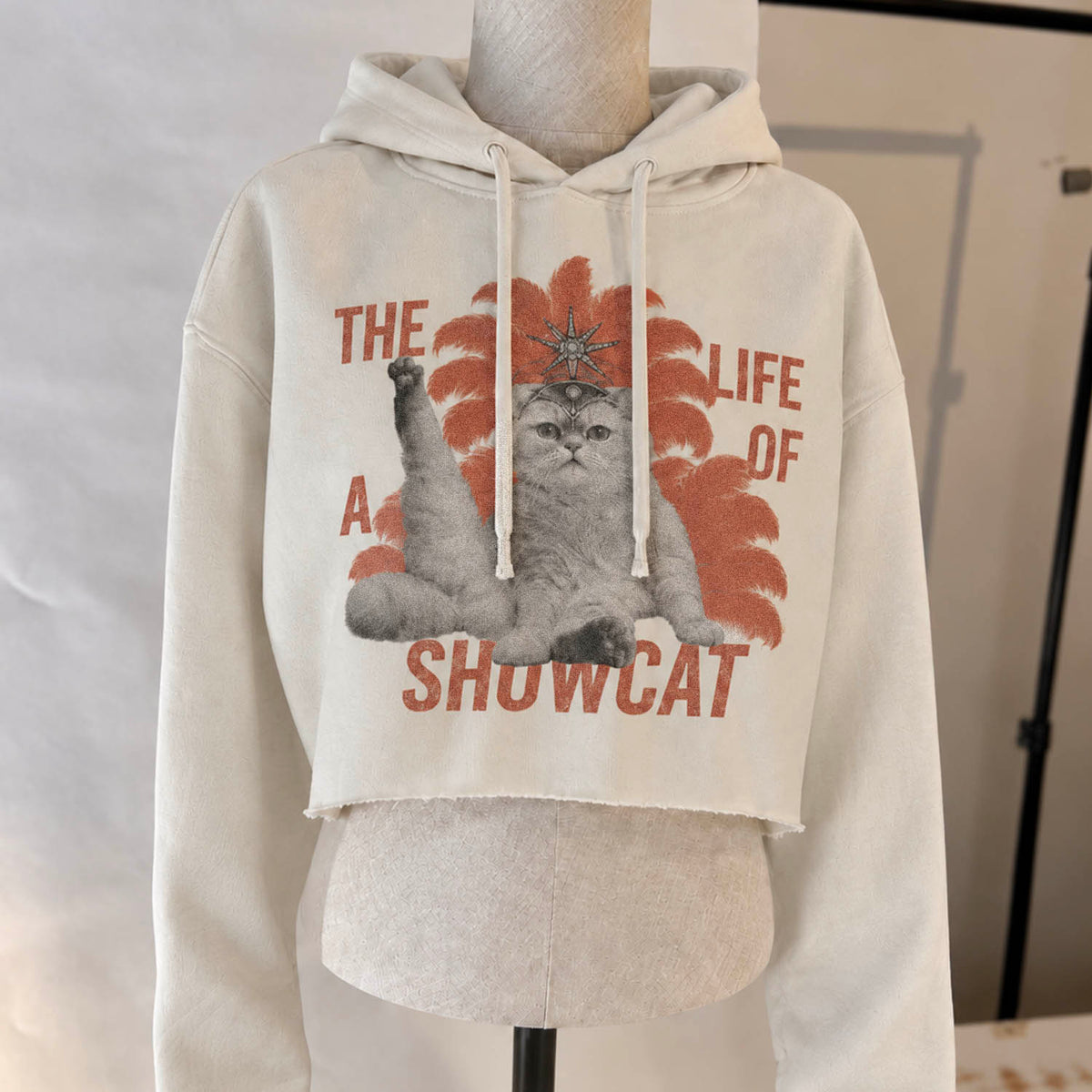 Showgirl Era Cropped Hoodie