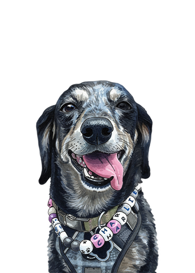 Marker pet portrait style example