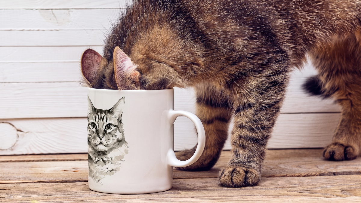 Ink wash pet portrait on ceramic coffee mug