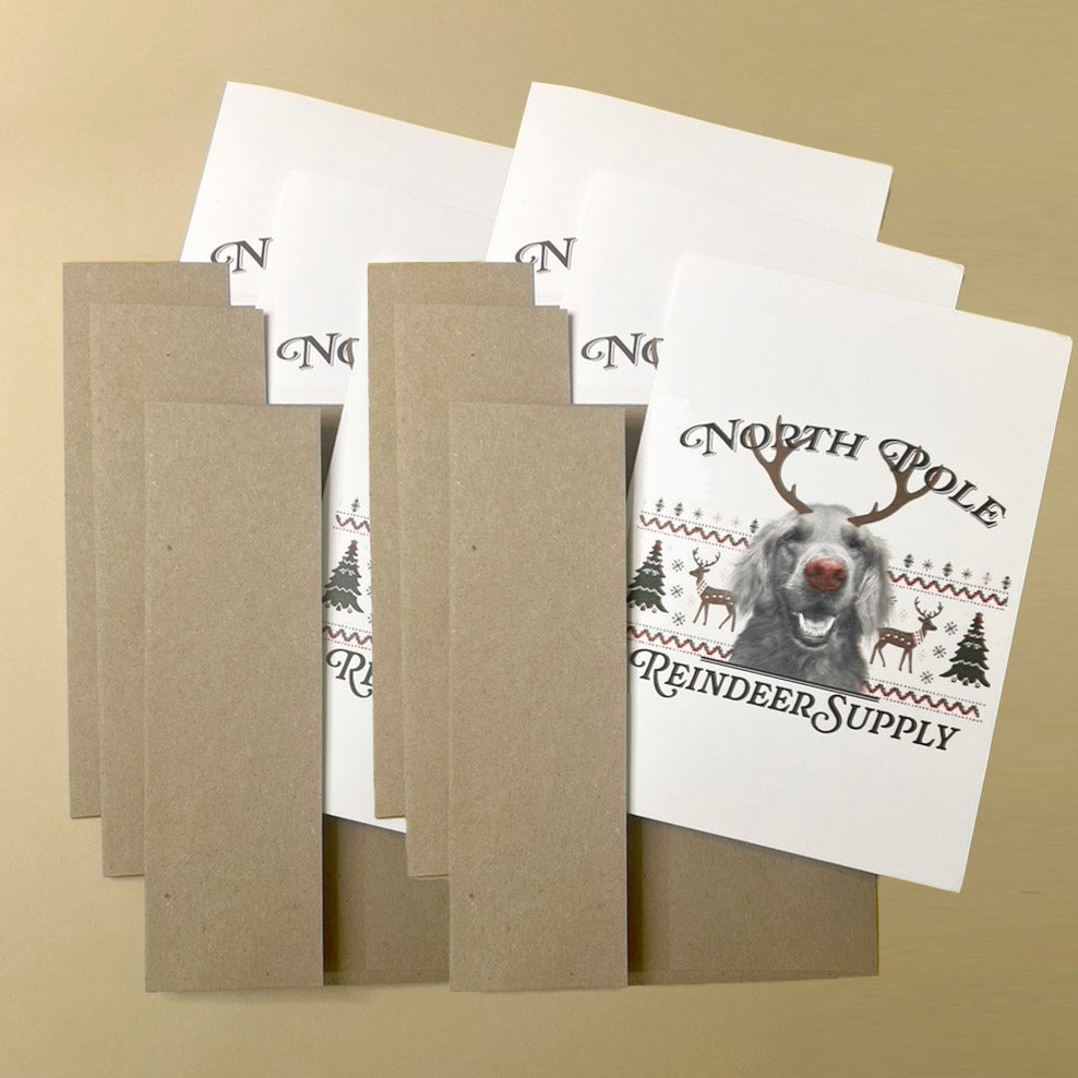 Pack of Holiday Cards