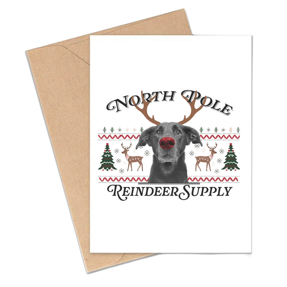 Pack of Holiday Postcards