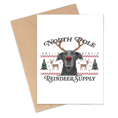 Pack of Holiday Postcards