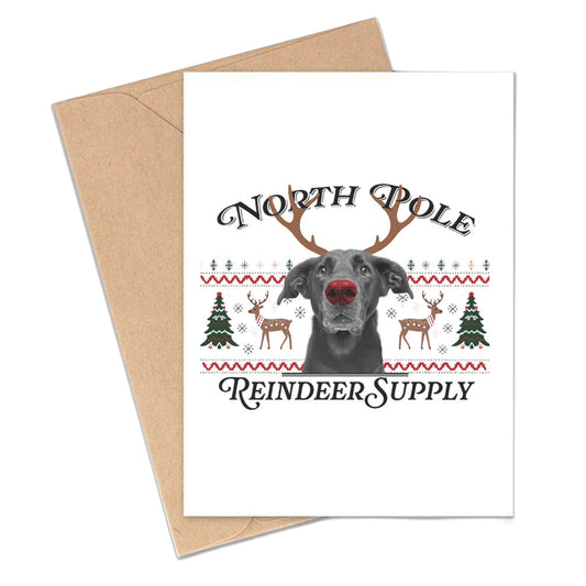 Pack of Holiday Postcards