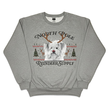 Not-So-Ugly Holiday Sweater