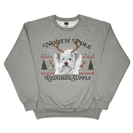 Not-So-Ugly Holiday Sweater