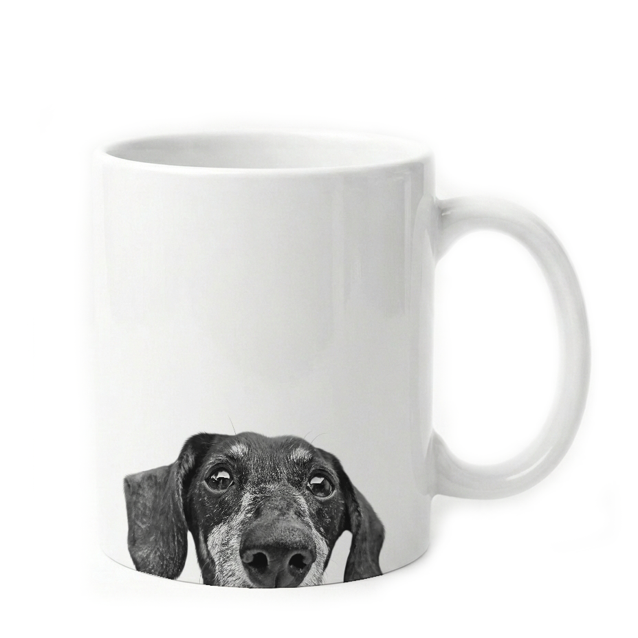 Dachshund 2