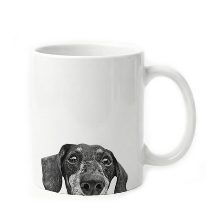 Dachshund 2