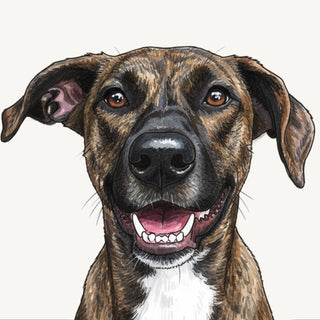 Marker style preview