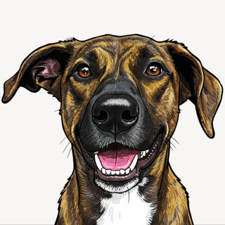 Sketch style preview