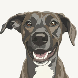 Stencil style preview