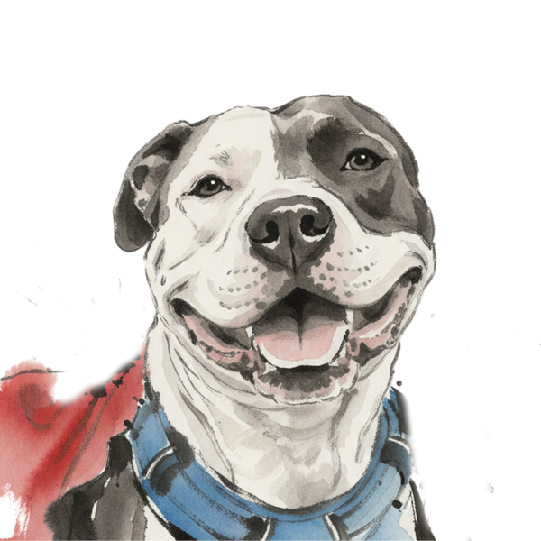 Pitbull portrait in Ink Wash style &mdash; custom pet portrait