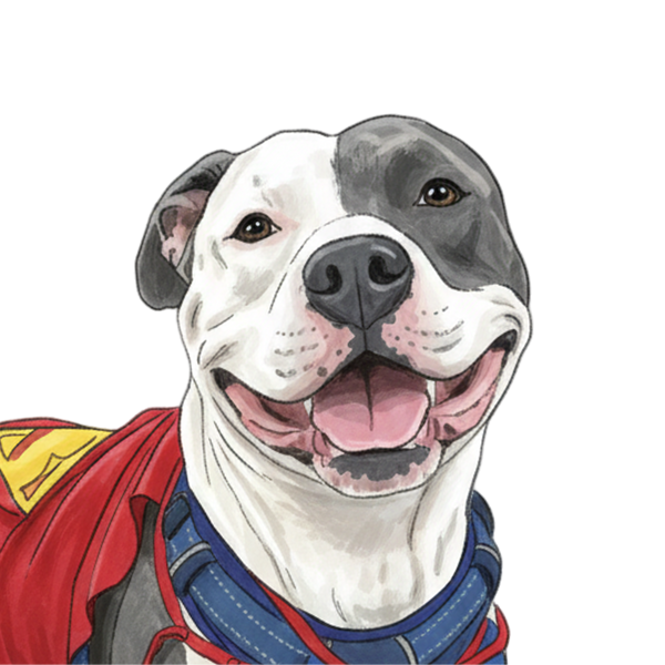 Pitbull portrait in Marker style &mdash; custom pet portrait