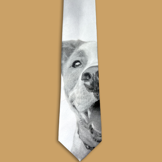 Personalized Pet Neck Tie