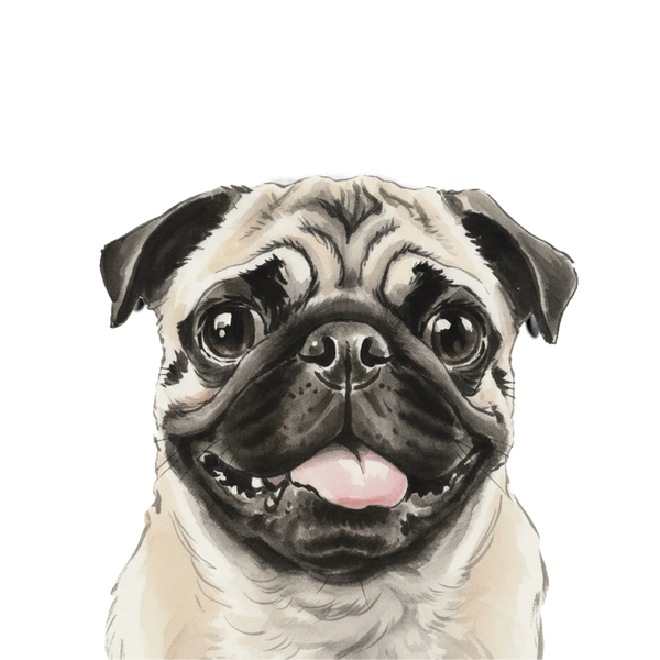 Pug portrait in Ink Wash style &mdash; custom pet portrait
