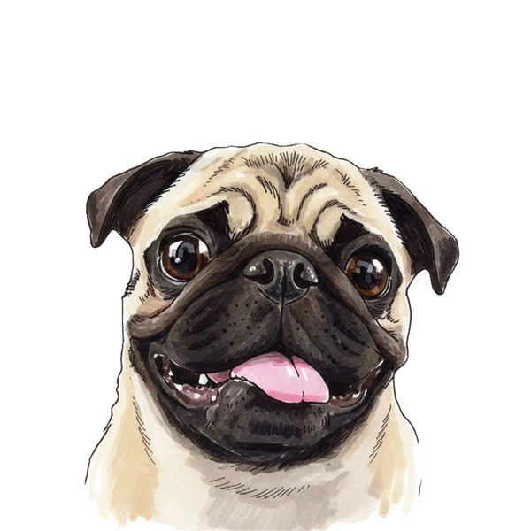 Pug portrait in Marker style &mdash; custom pet portrait