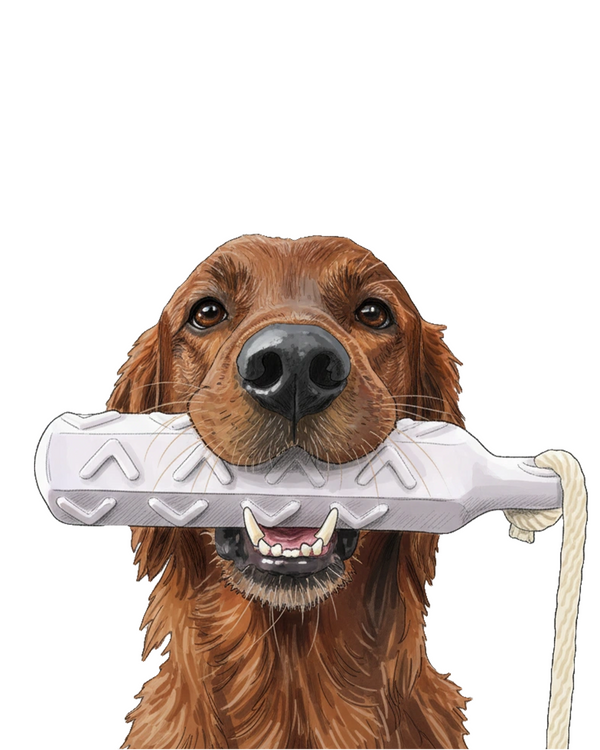 Golden Retriever portrait in Marker style &mdash; custom pet portrait
